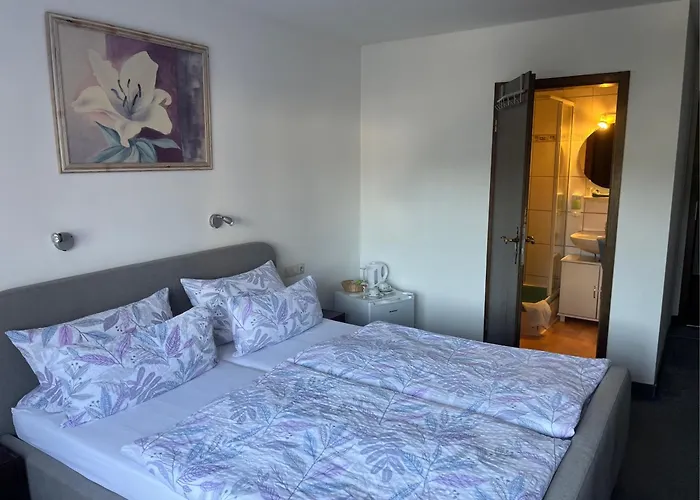 Alte Post בית הארחה 3*