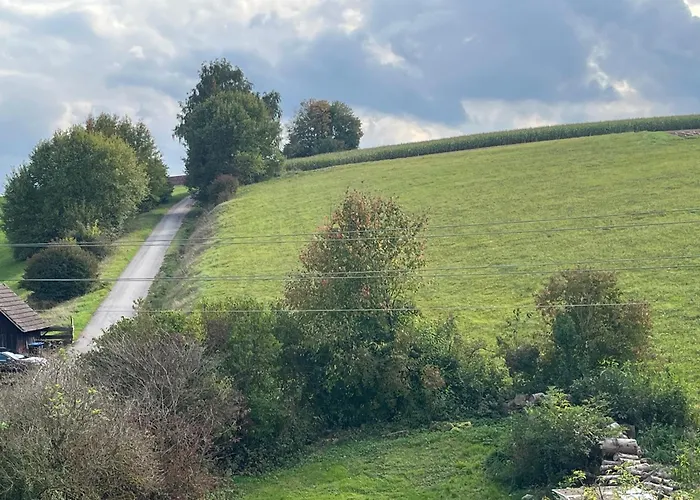 בית הארחה Alte Post 3*